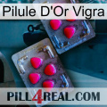 Vigra Gold Pill 14